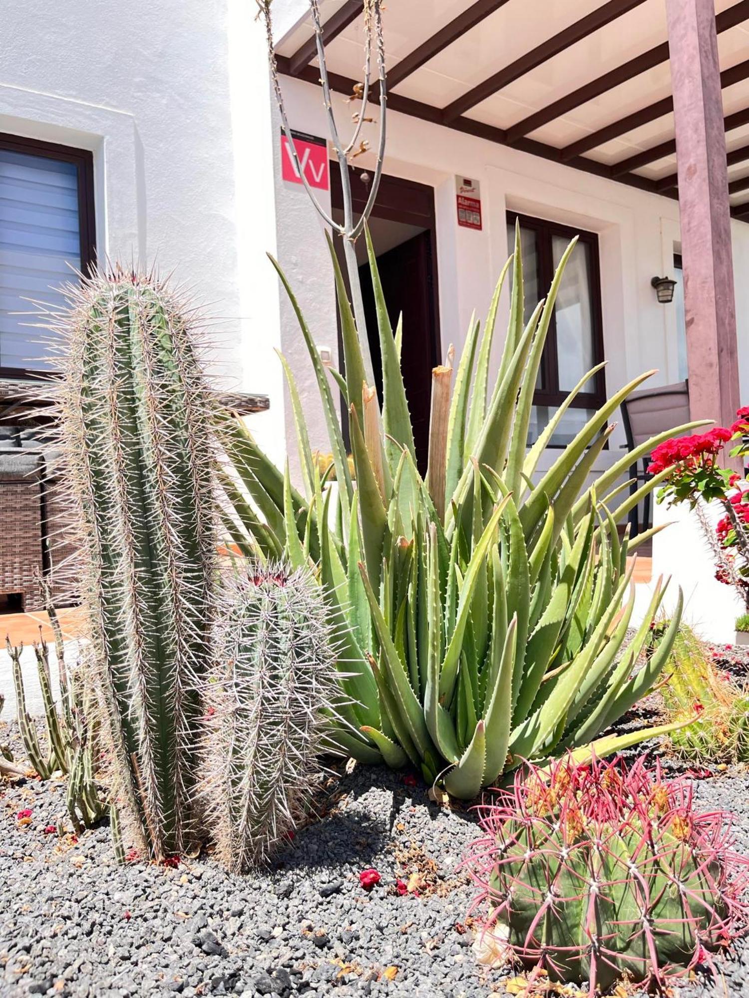 Casa Panadero'S, 3 Bedroom Villa Playa Blanca  Ngoại thất bức ảnh